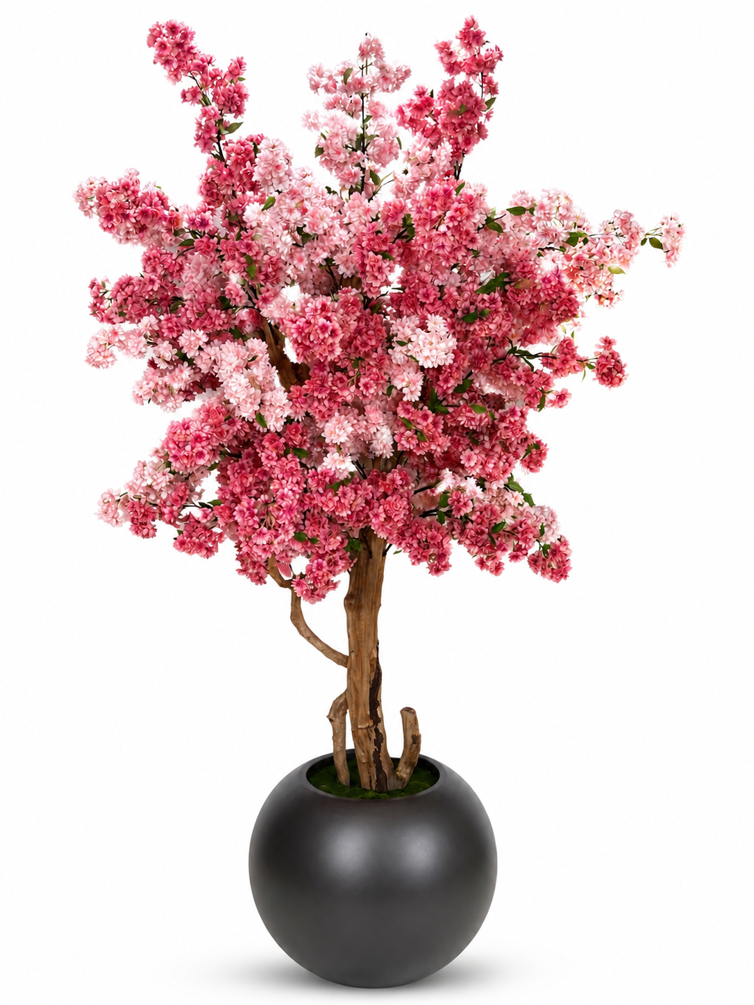 Luxury Pink Cherry Blossom Tree