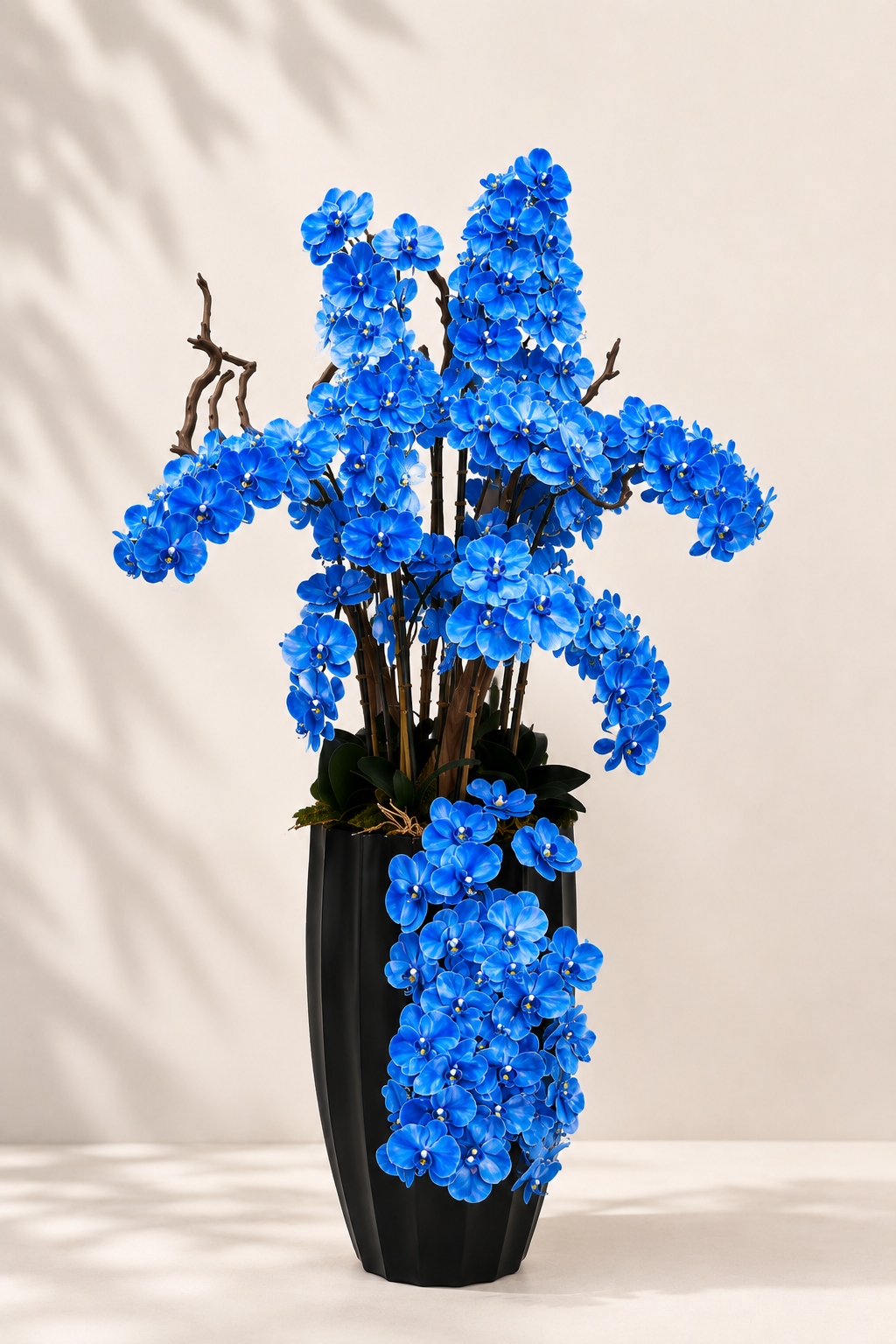 Luxury Orchid Arrangement