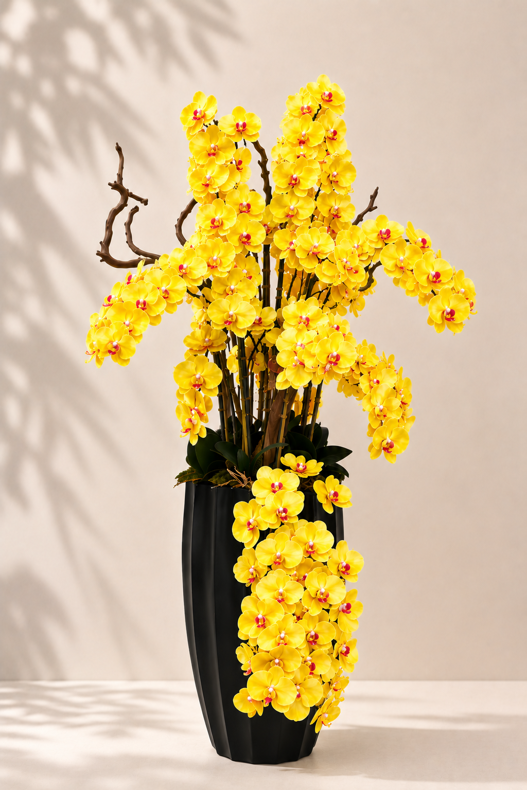 Luxury Orchid Arrangement