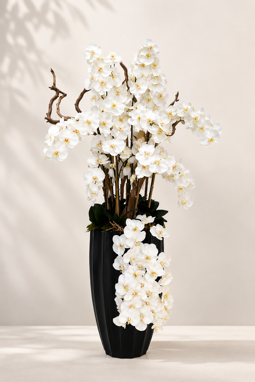 Luxury Orchid Arrangement