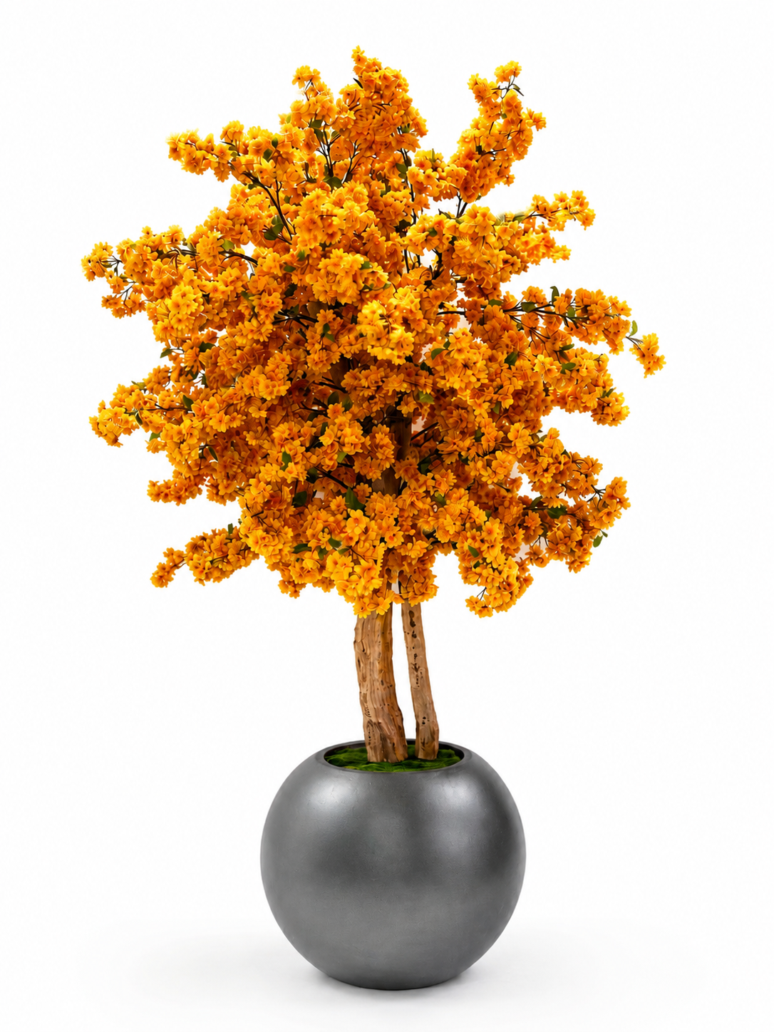 LuxuryYellow Cherry Blossom Tree