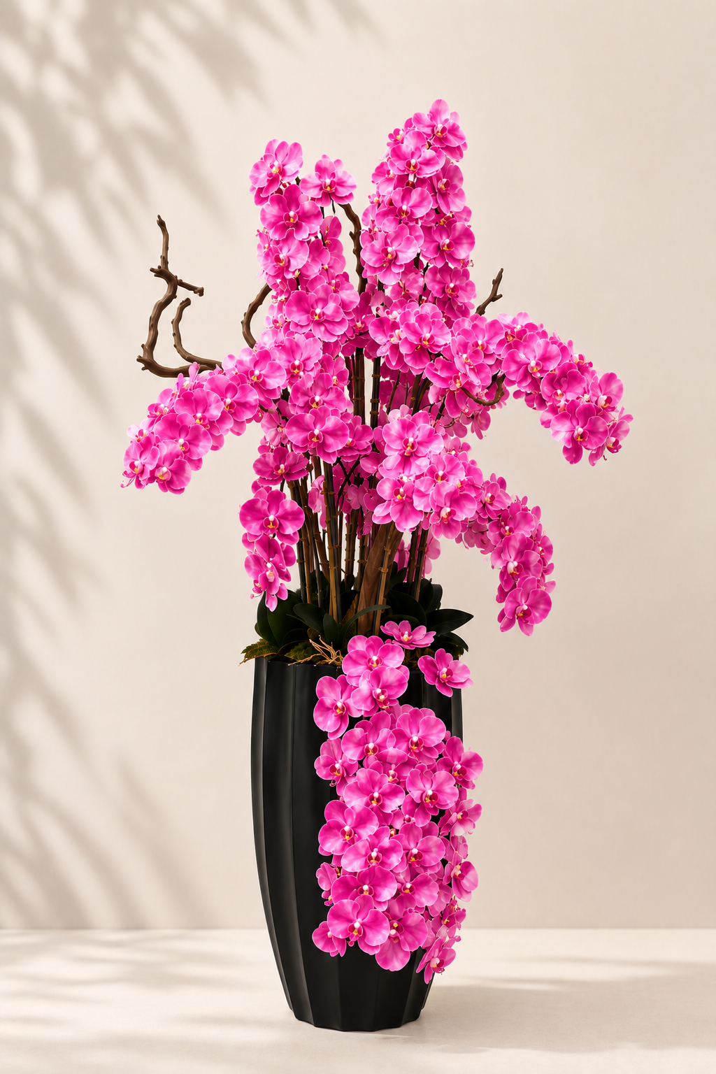 Luxury Orchid Arrangement
